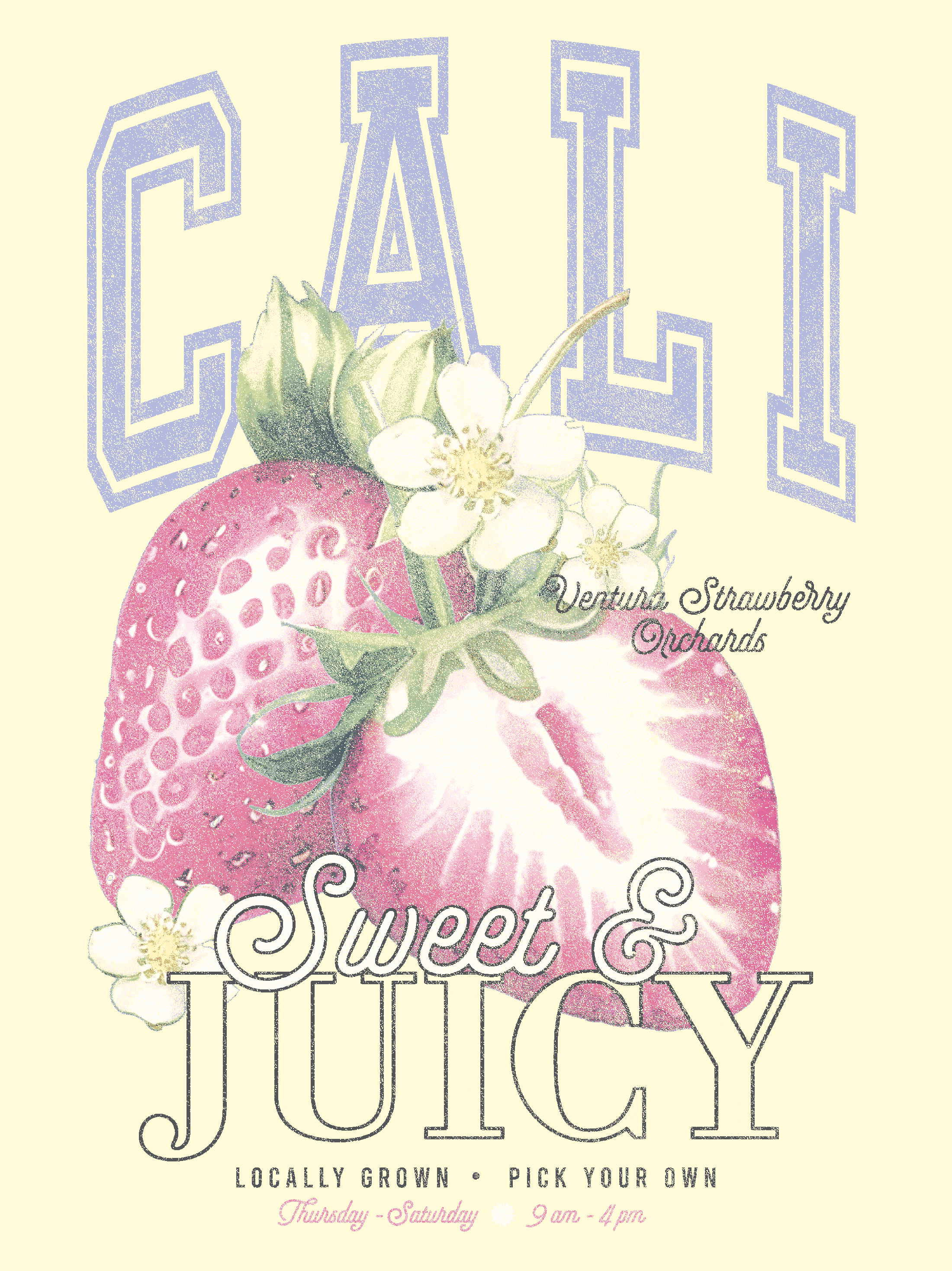 SP26AZ3371A_GRAPHIC_STRWBRRY ORCHARD_AZ copy.png