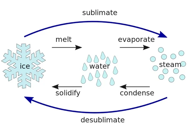 waterphases.jpg