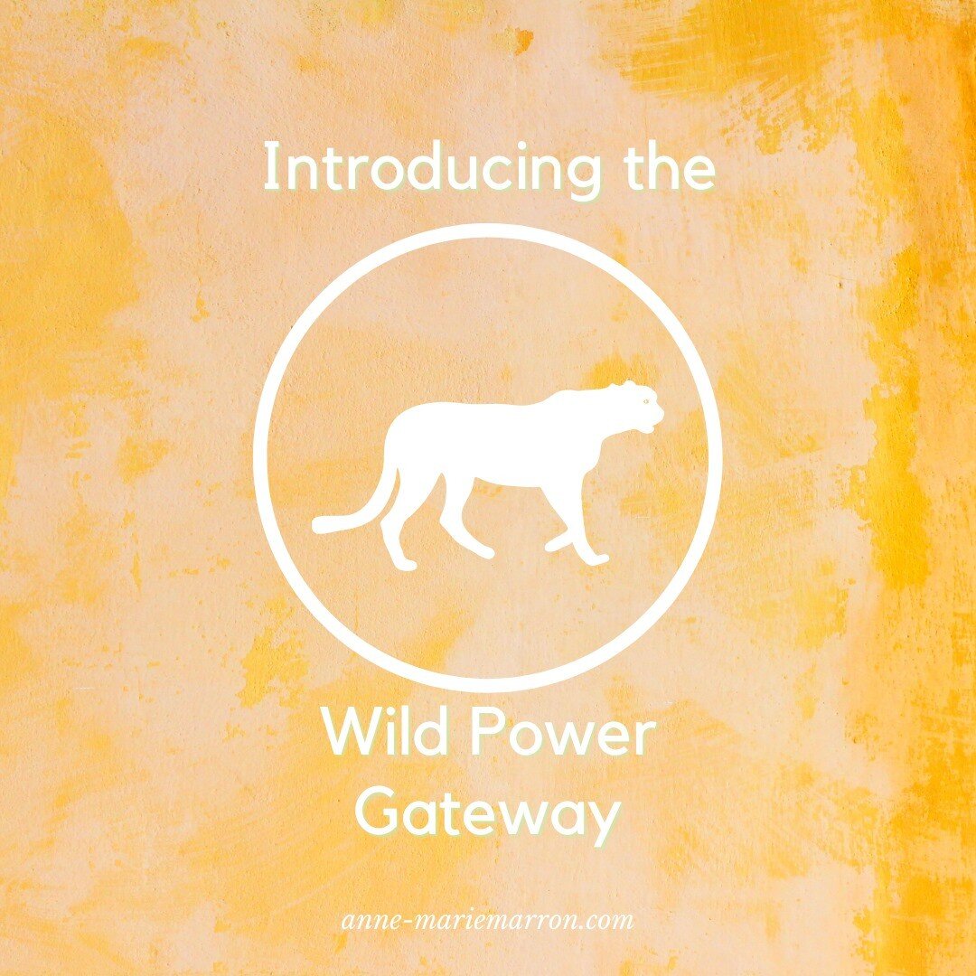 What is Wild Power?

It is our devotion to the passionate roar within us that dismantles social domestication in order to claim an authentic, free, and sovereign self.

You know that wobbly feeling when you realize that your attempts to become who yo