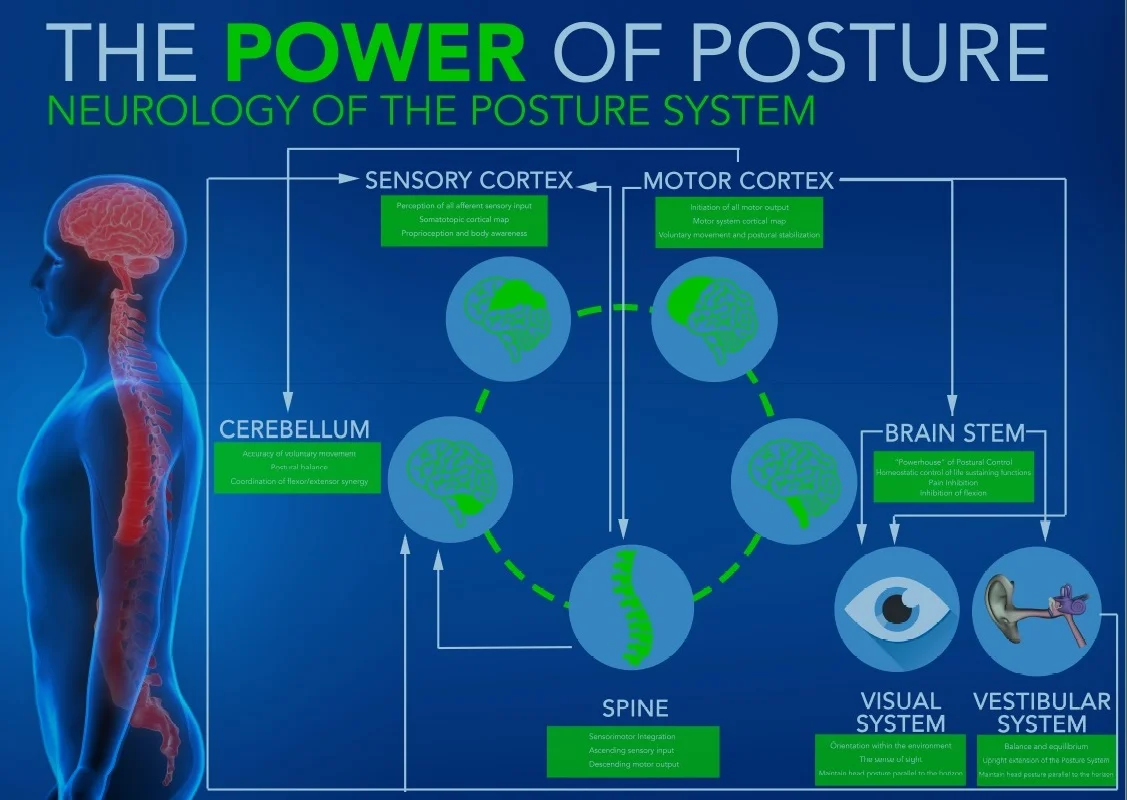 Power of Posture.jpg