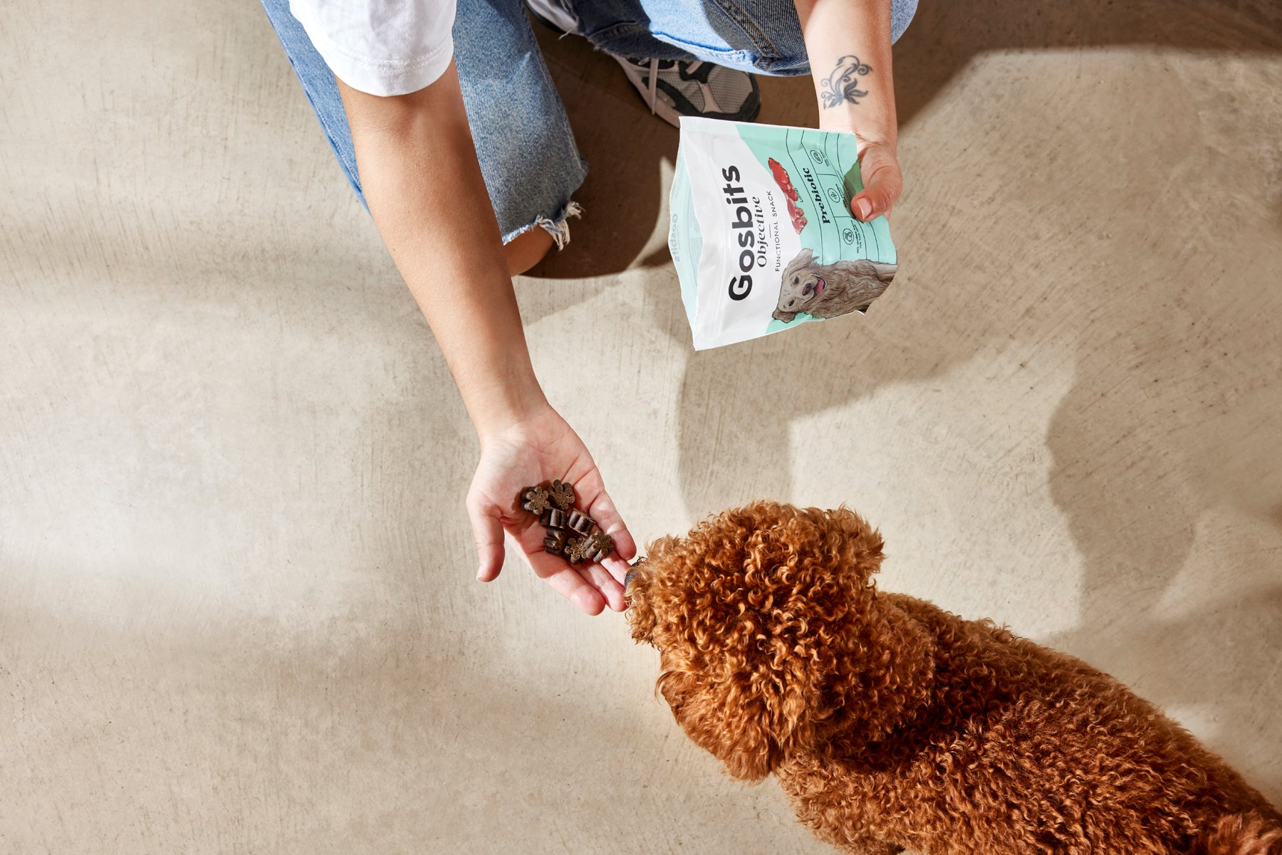 2025.09.09_GOSBI-Casa Boratuna_1008.jpg