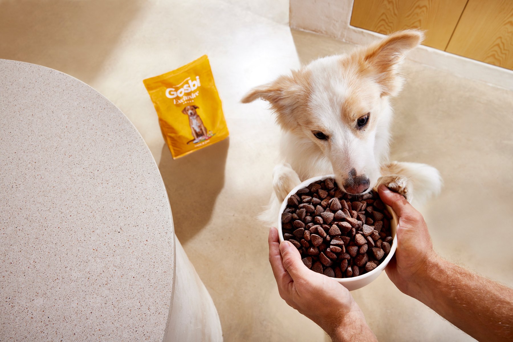 2025.09.10_GOSBI-Casa Boratuna_1012.jpg