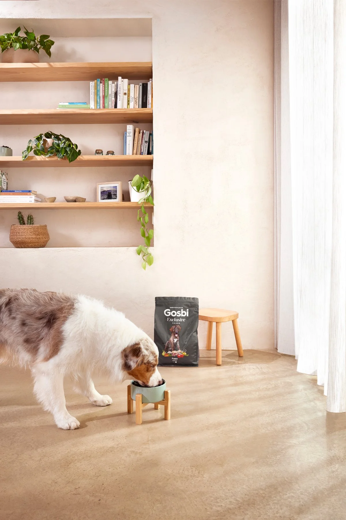 2025.09.10_GOSBI-Casa Boratuna_1479.jpg