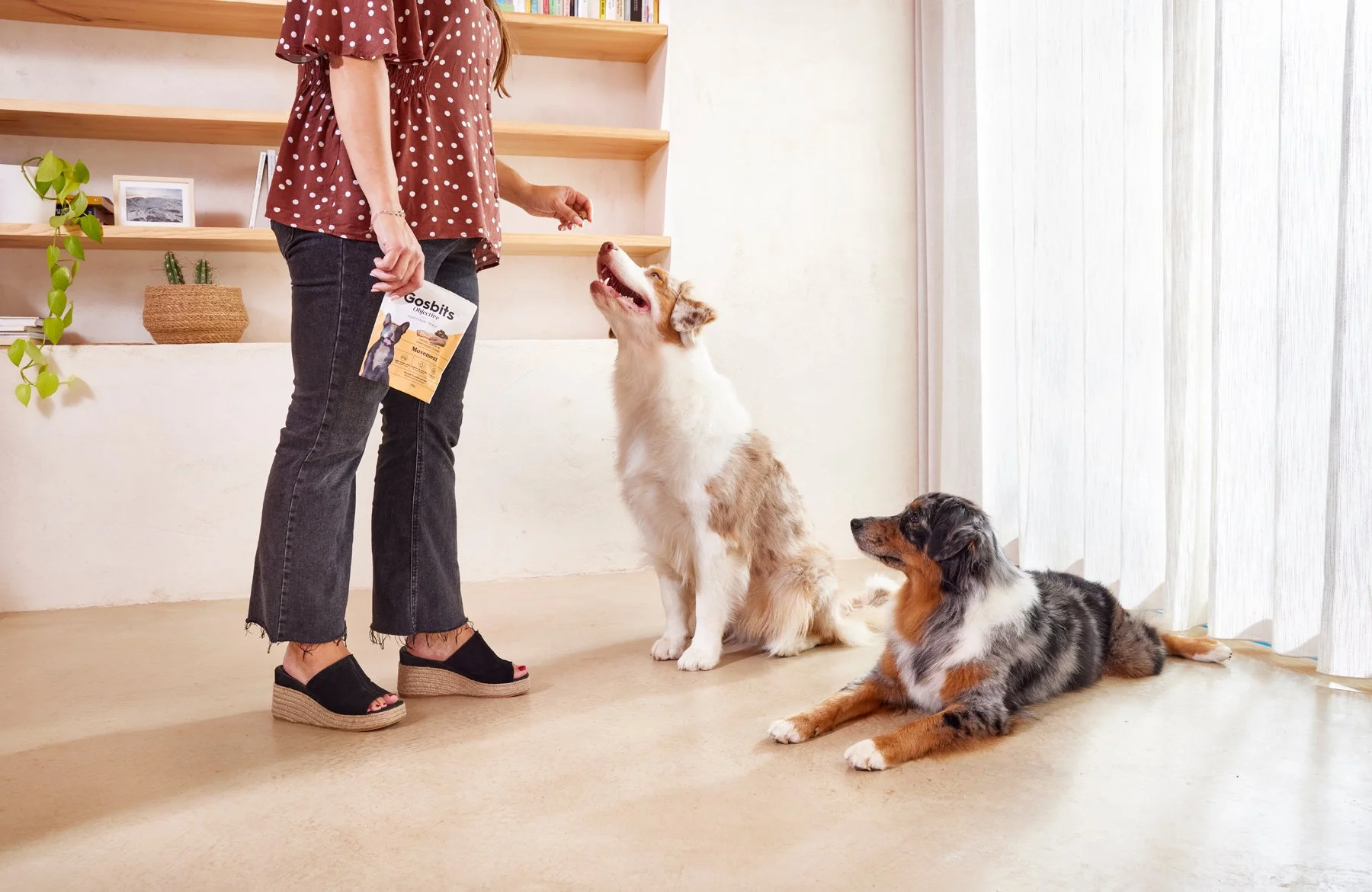 2025.09.10_GOSBI-Casa Boratuna_1665.jpg