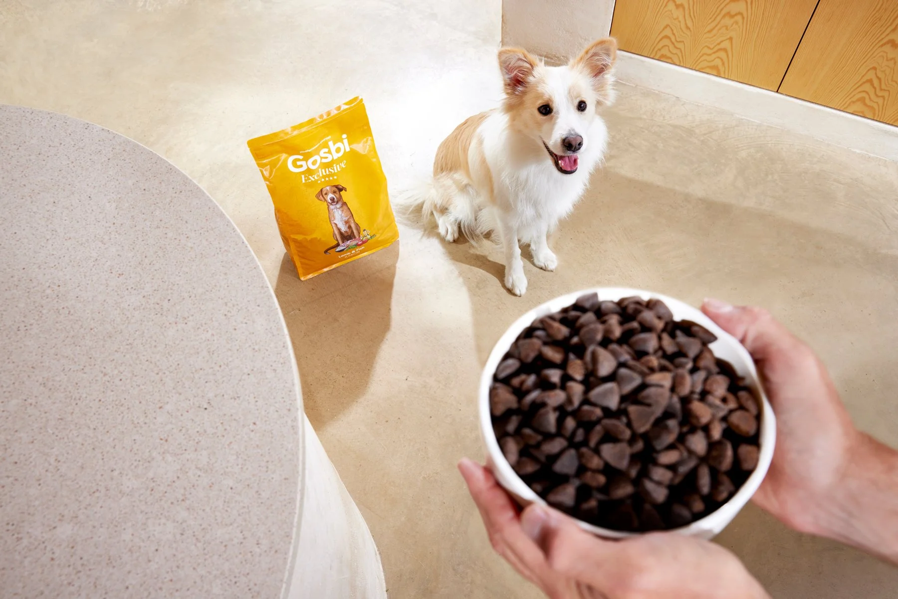 2025.09.10_GOSBI-Casa Boratuna_1026.jpg