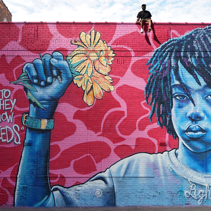 CreatorNetworkExamples_mural.png