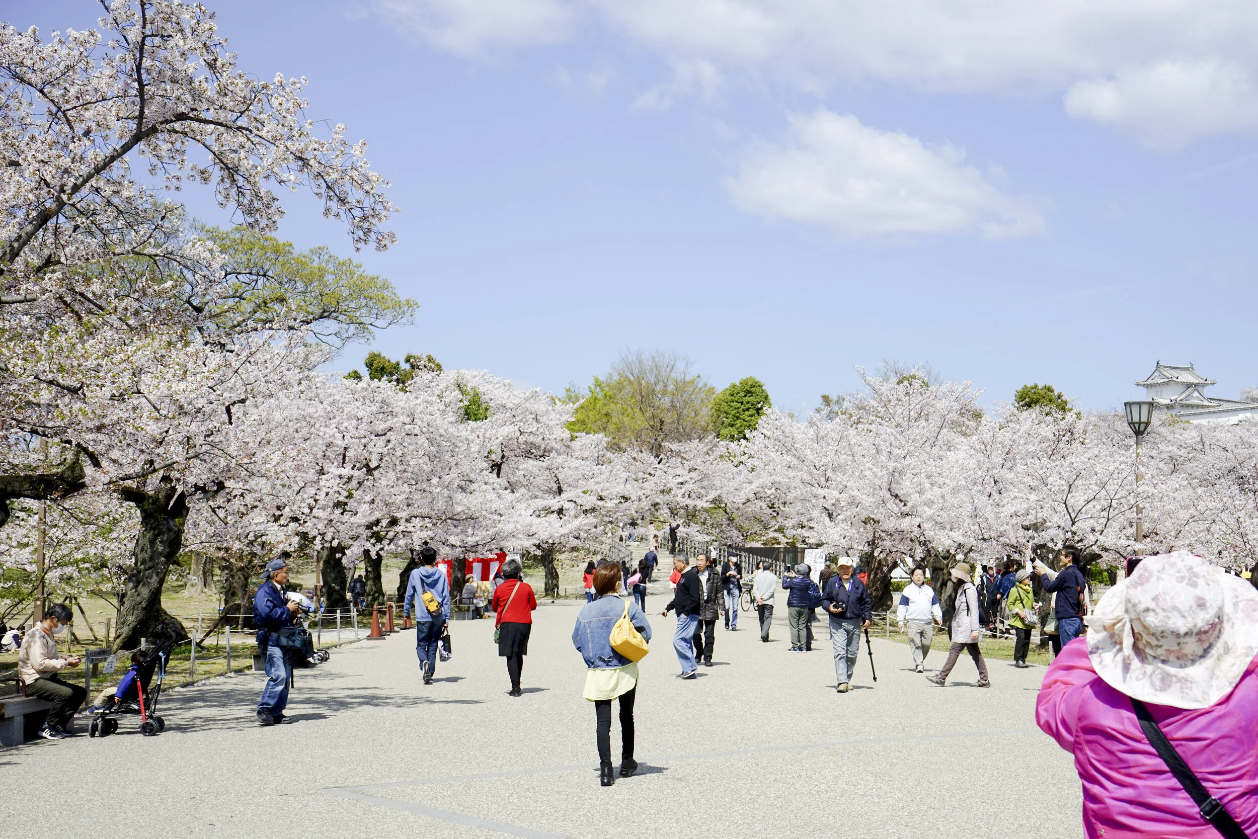 Japan Spring 2019-123.jpg