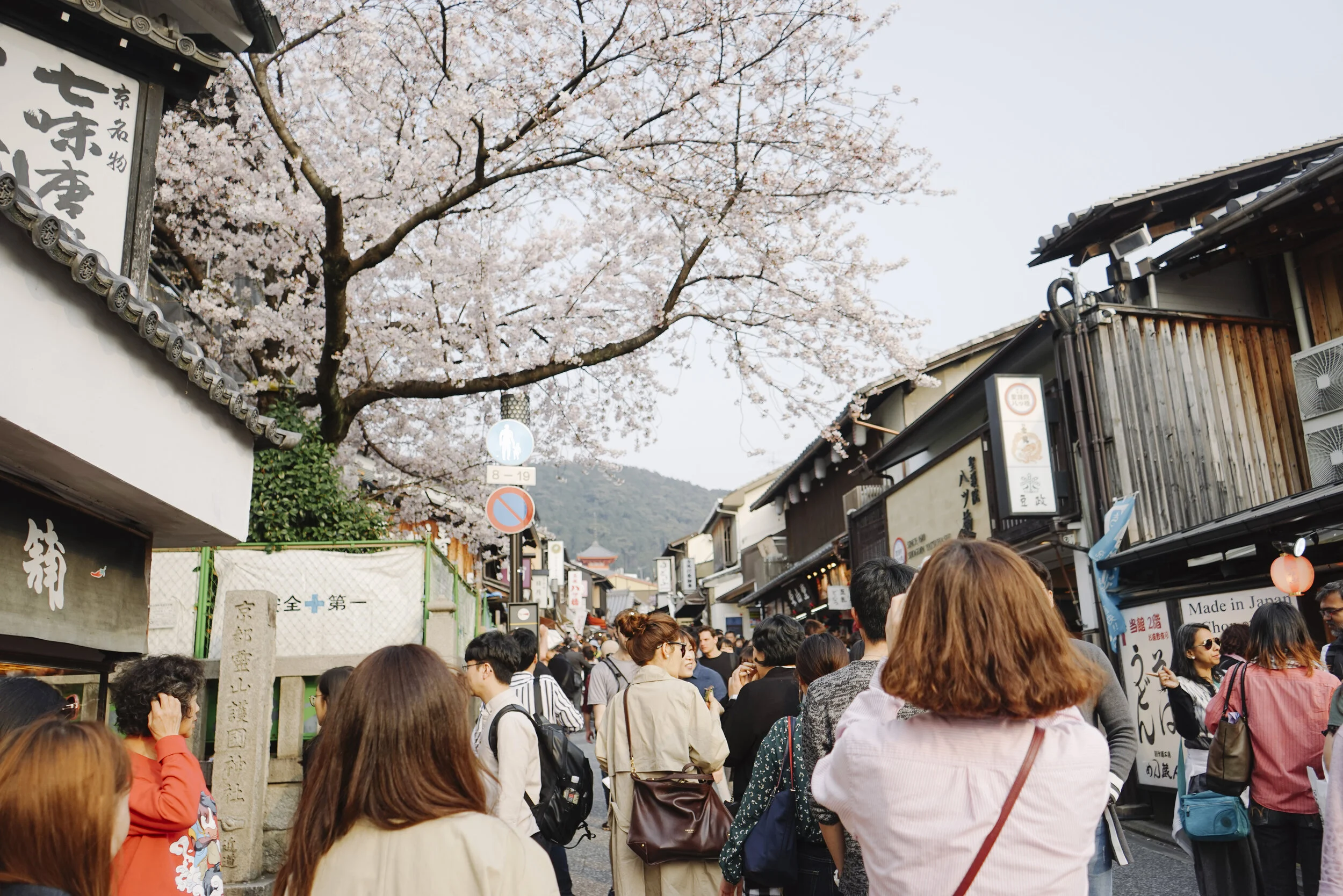 Japan Spring 2019-69.jpg