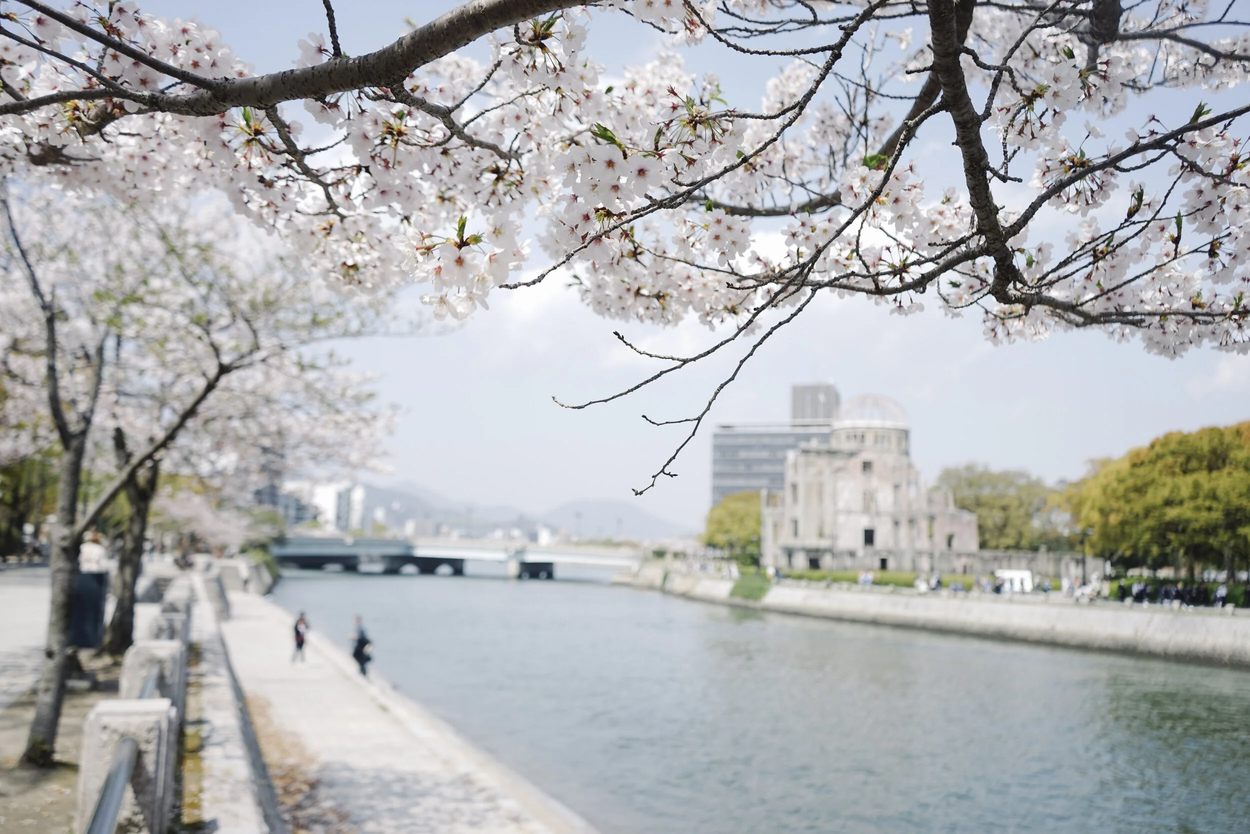 Japan Spring 2019-94.jpg