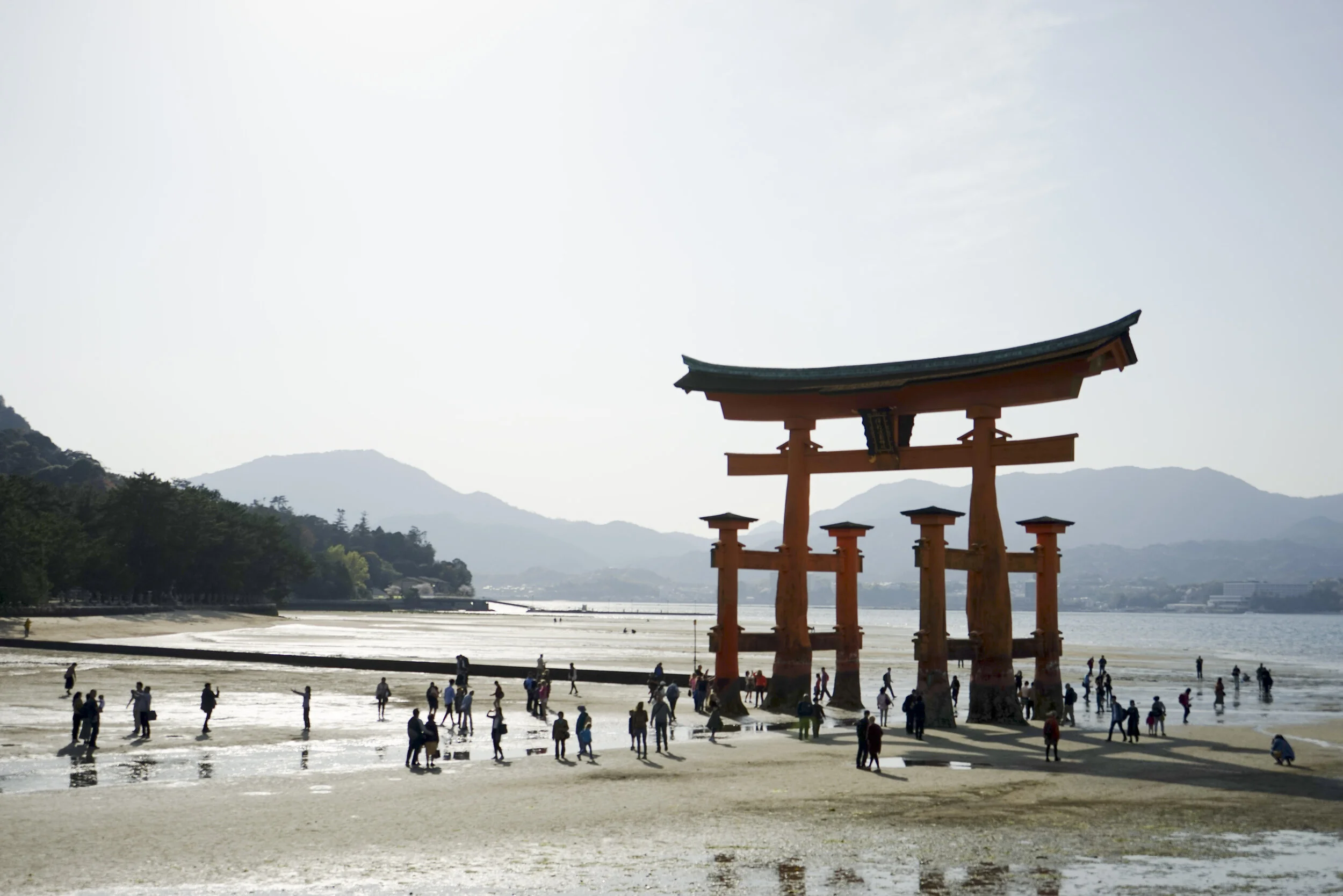 Japan Spring 2019-101.jpg