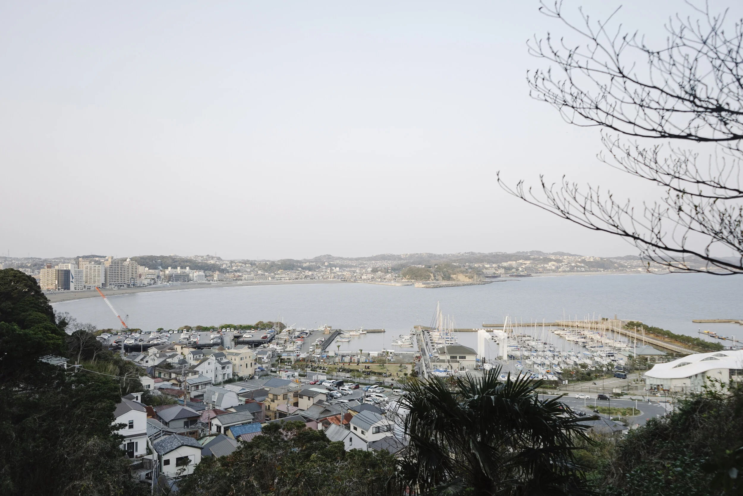 Japan Spring 2019-55.jpg