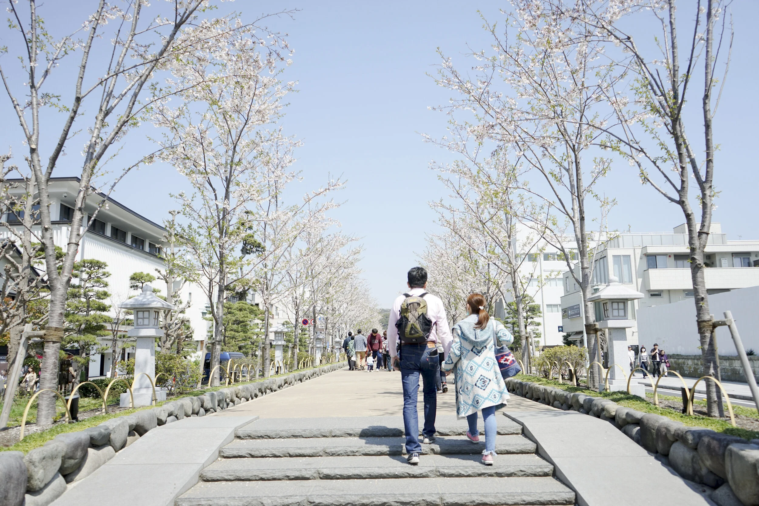 Japan Spring 2019-38.jpg