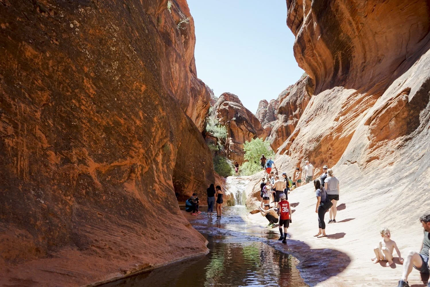 St.George 2019-86.jpg