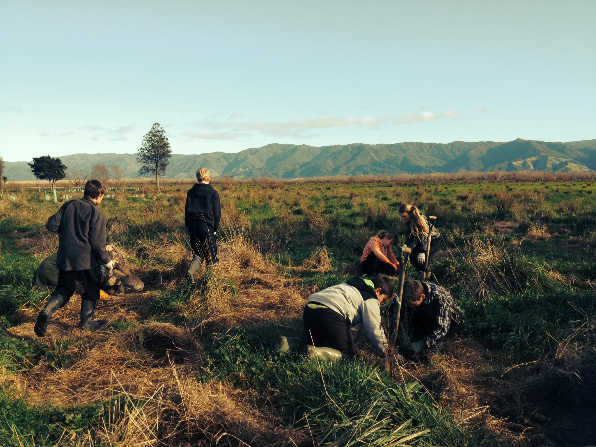 1.2.4 Get involved WairoPlanting.JPG