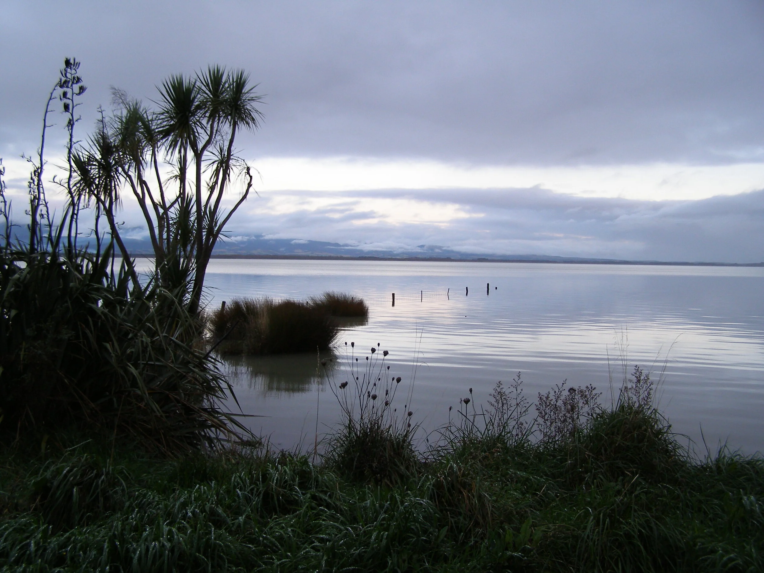 1.13 Western Lake.JPG