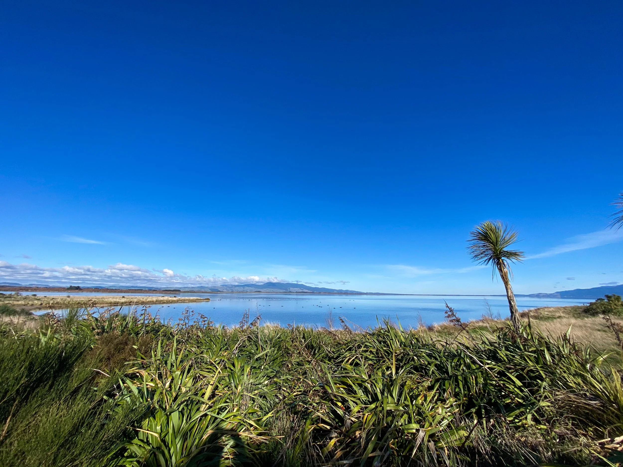 E ngā Hapū Karanga, Ko Ngāti Hinewaka, Ko Wairarapa Moana, me te Whānau o Kohunui Marae!