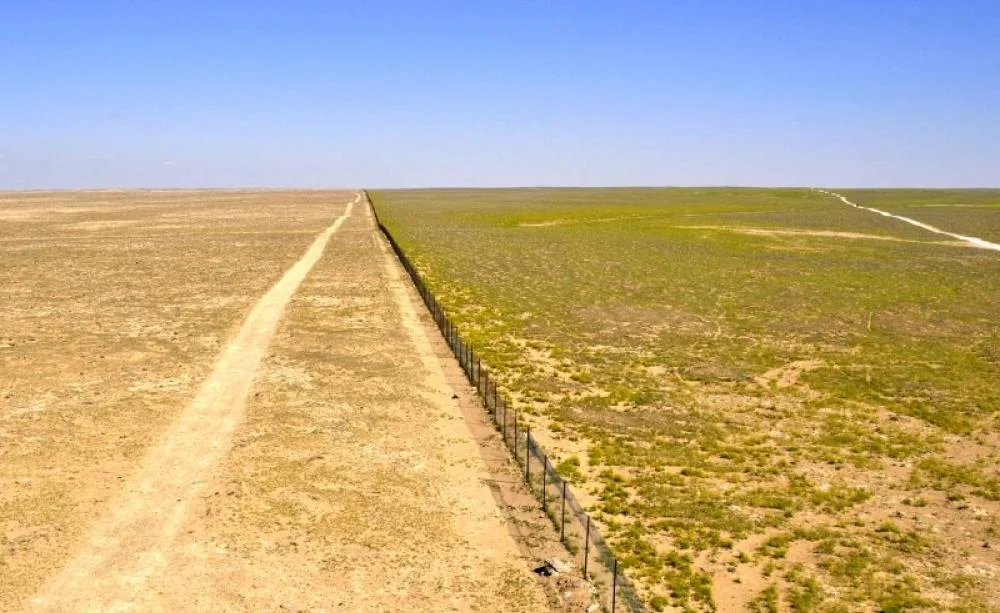 Overgrazing in the Syrian Steppe