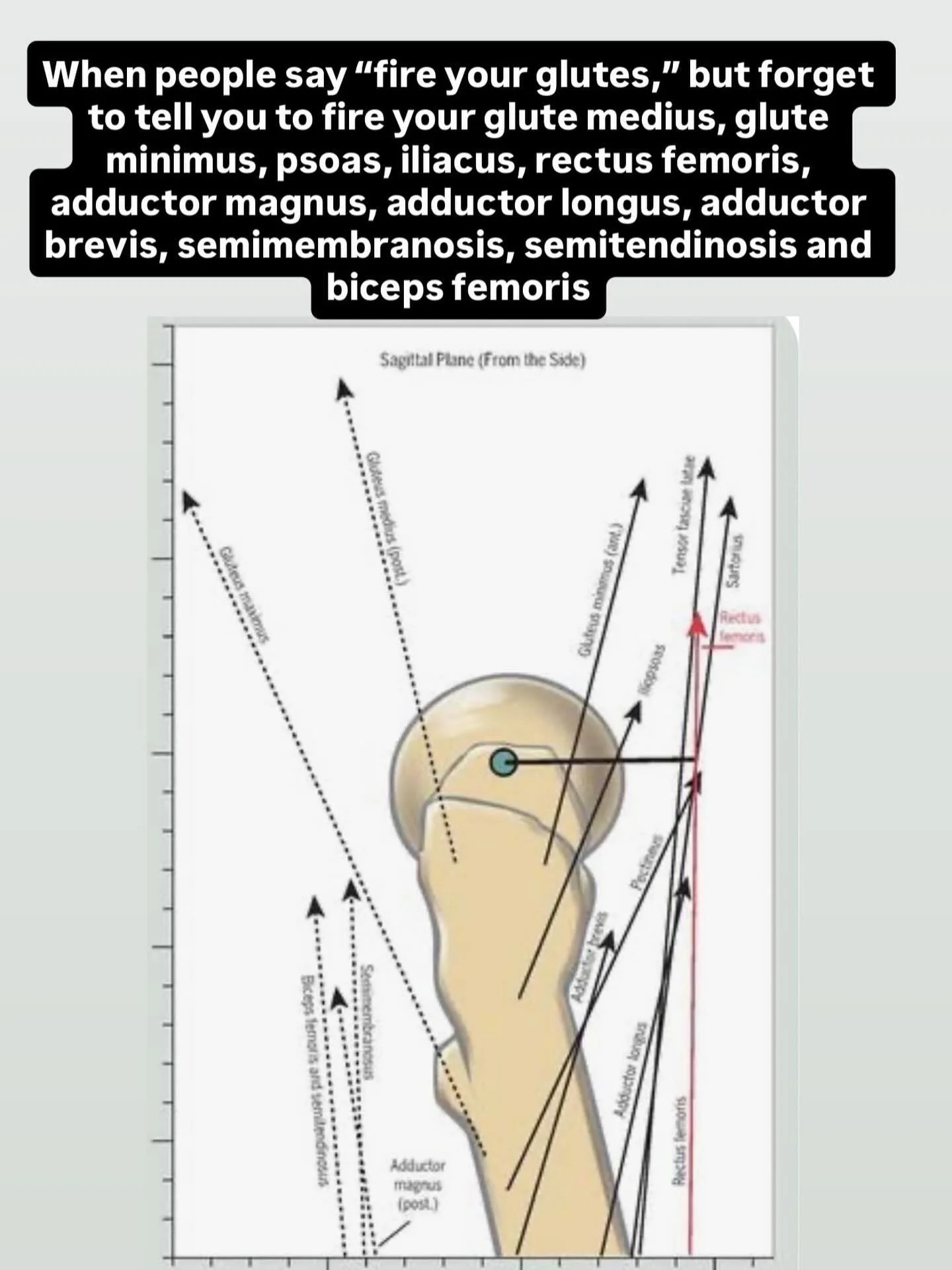 &ldquo;My therapist told me my glutes are firing&rdquo; makes me violent.
