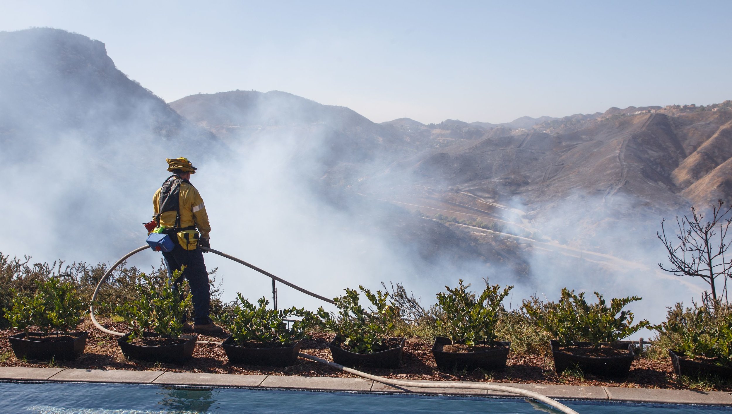 Woolsey Fire Restoration
