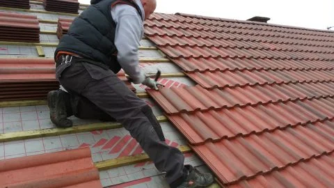 roof4.jpg