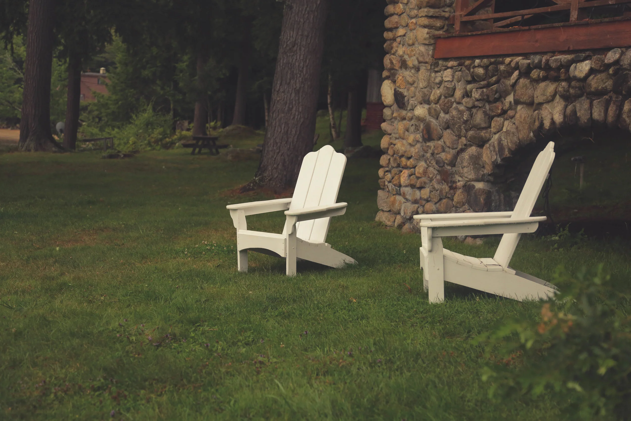 Lawn Traditional Backyard