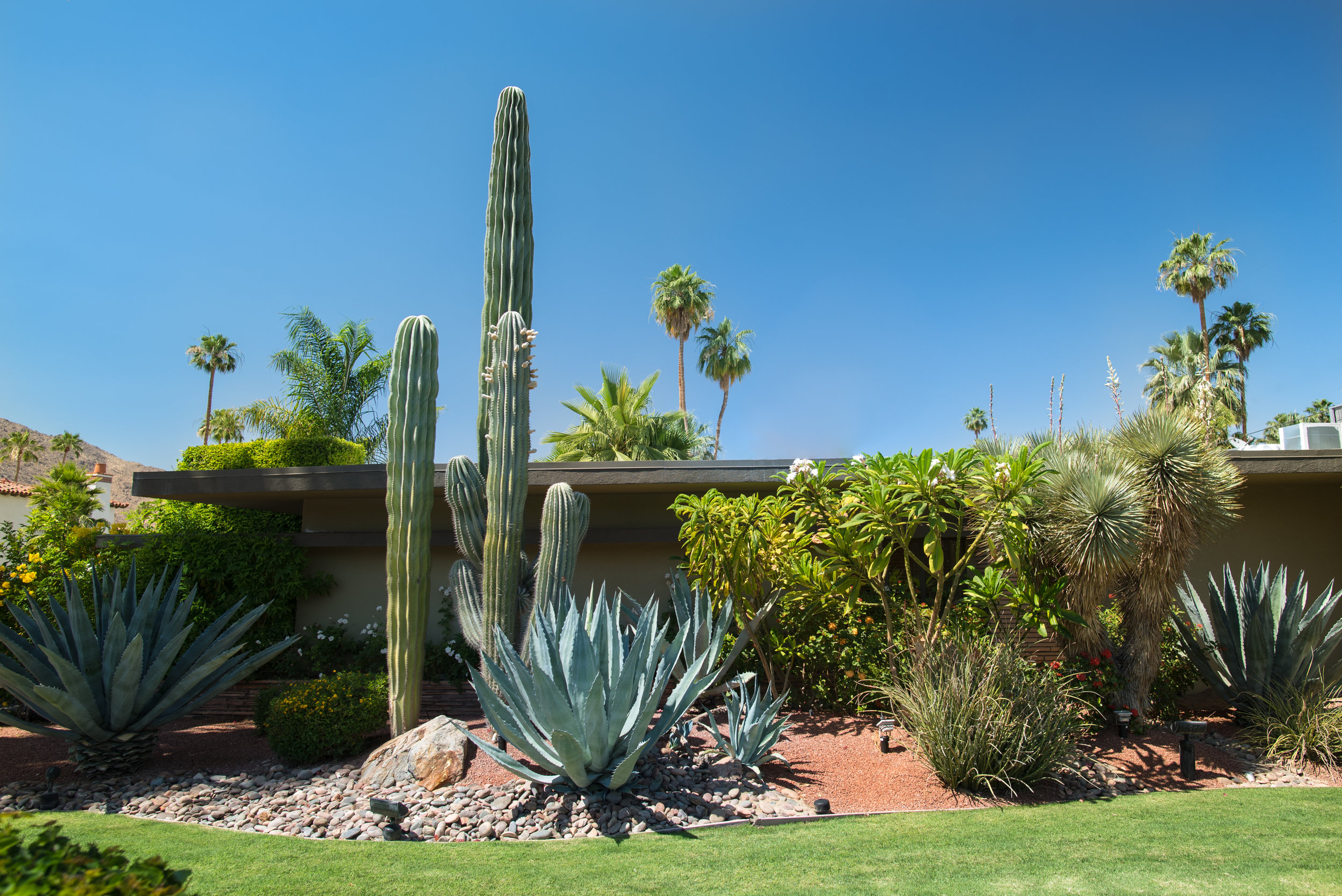 Drought Landscaping Why It Still, Drought Tolerant Landscape Rebate Los Angeles