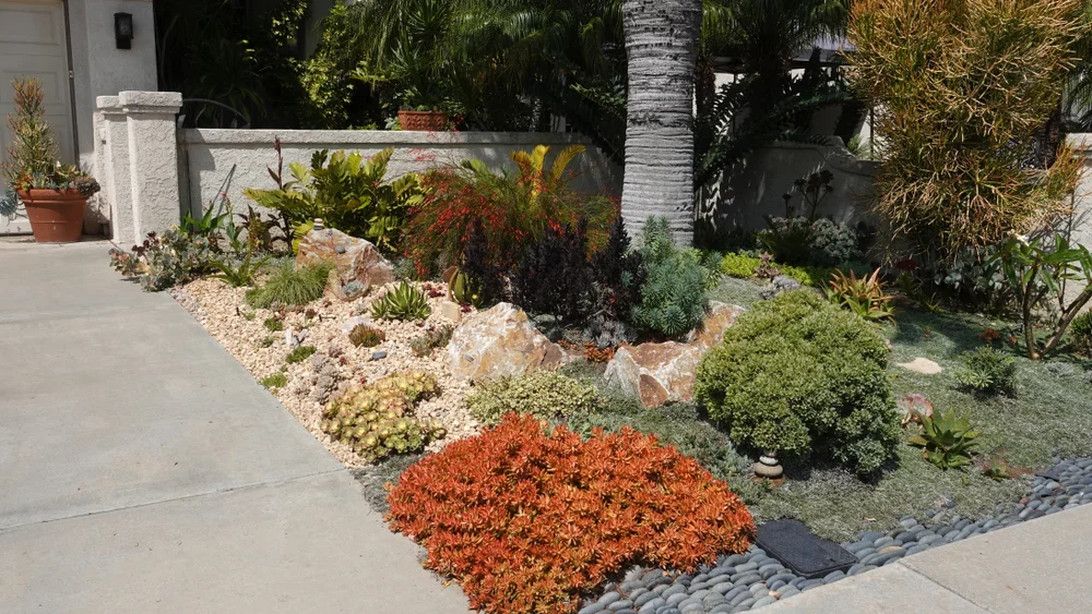 Drought landscaping in Burbank