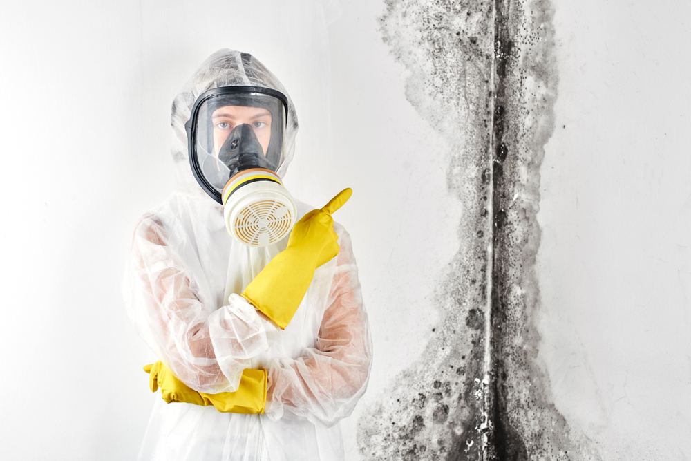 Mold Removal Contractor In Orem Ut