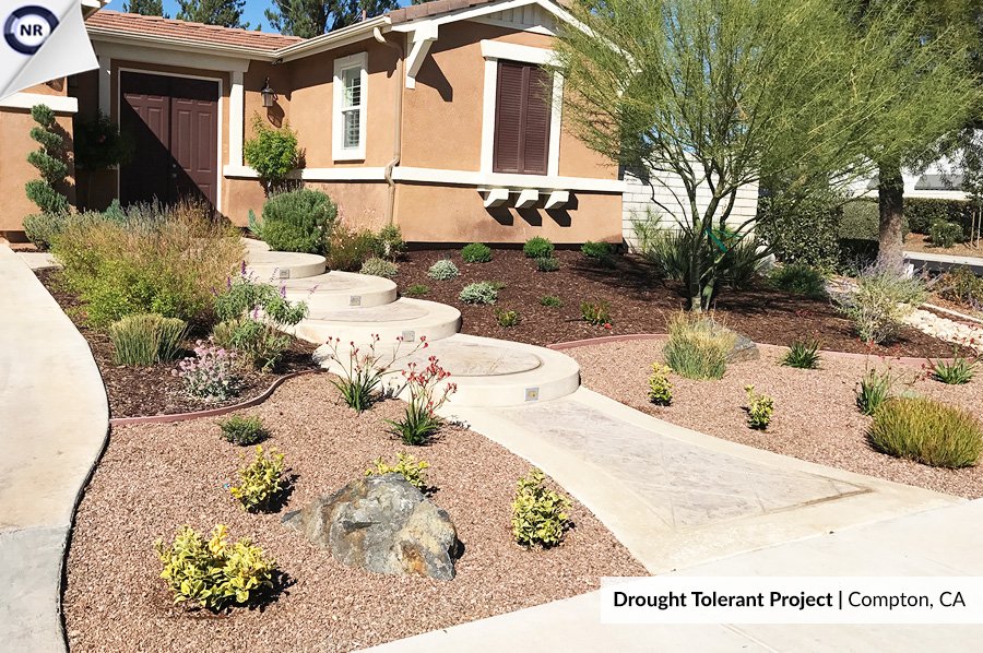 native-drought-tolerant-gardens-landscaping-los-angeles-drought