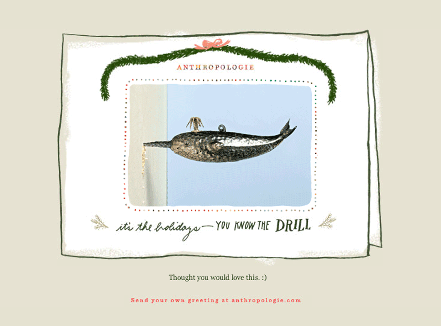 ___narwhal_ecard_comp_082618.gif