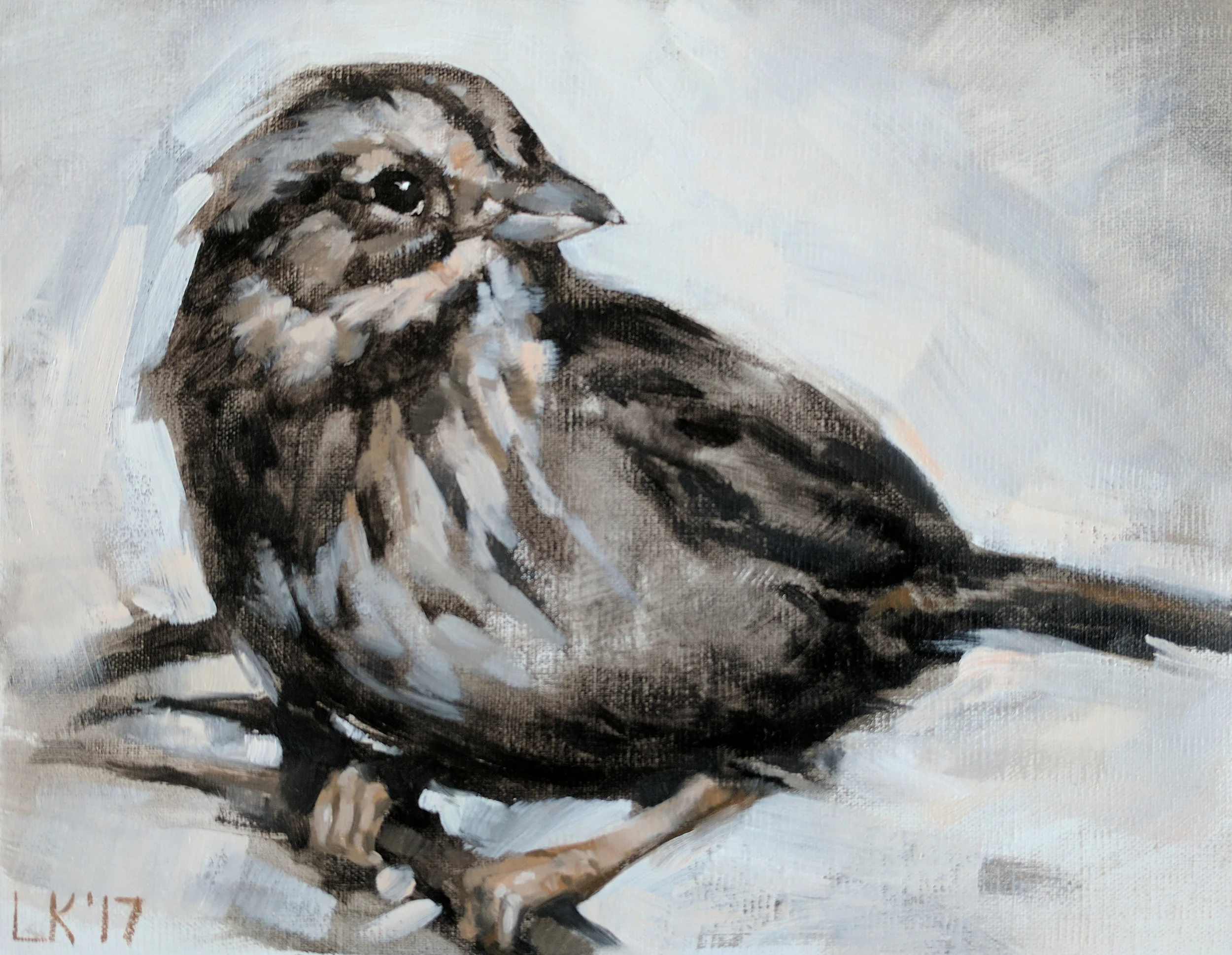 Oil_AnimalStudies_Finch_01.jpg