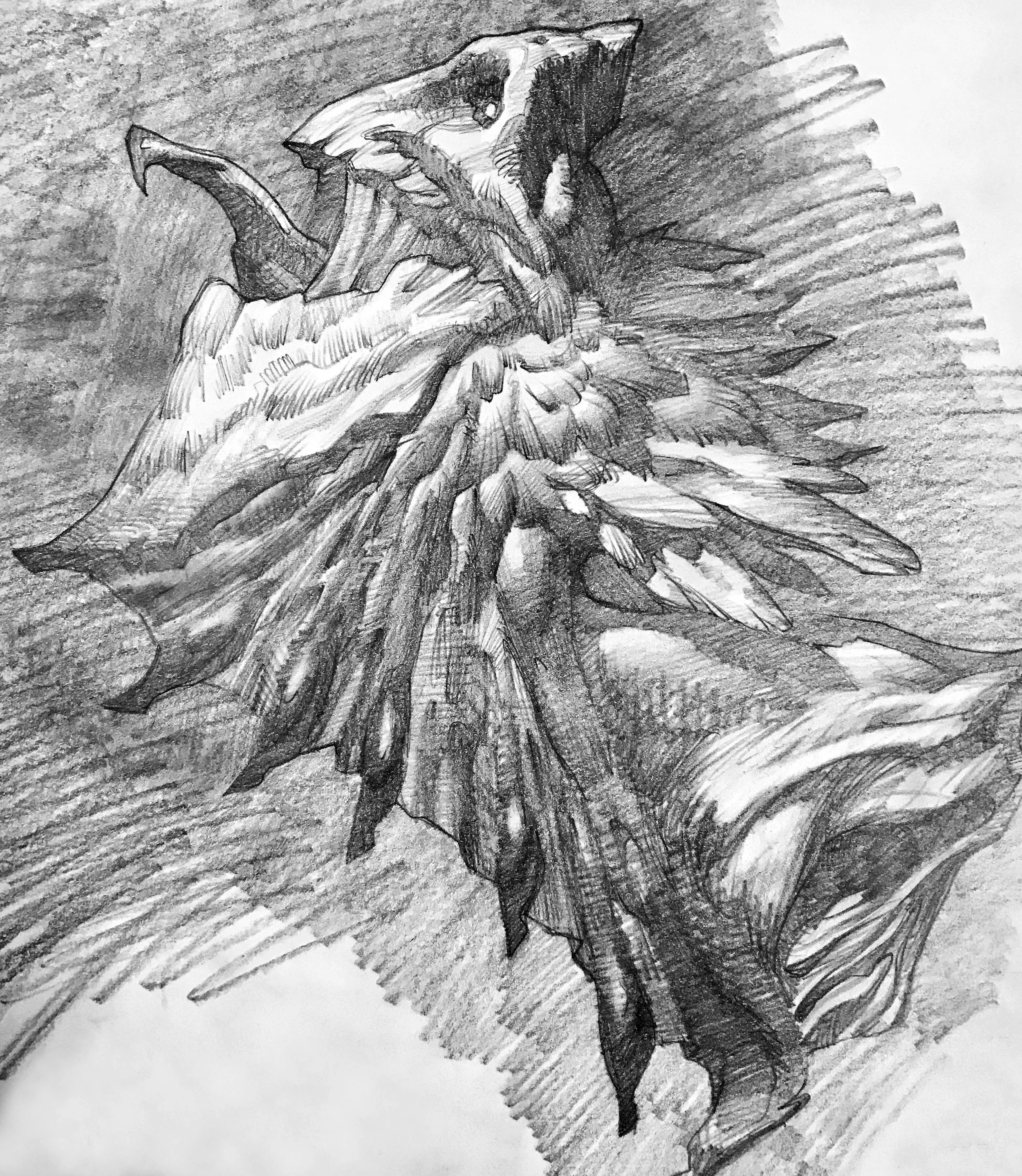 Charcoal_CreatureStudies_Dragon_01.jpg
