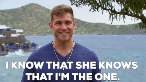 giphy (3).gif