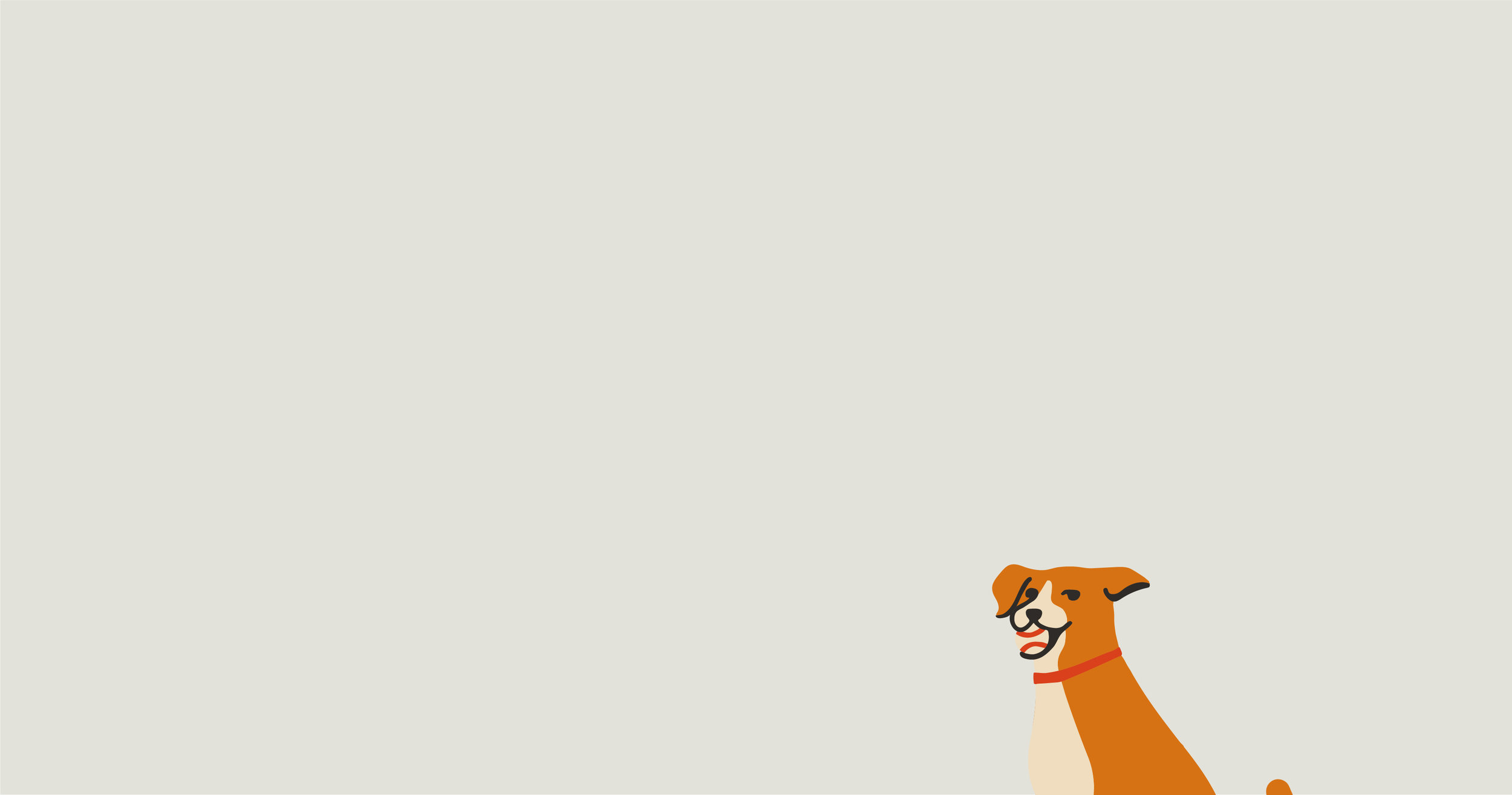 BEANDOG-value-2-21.jpg