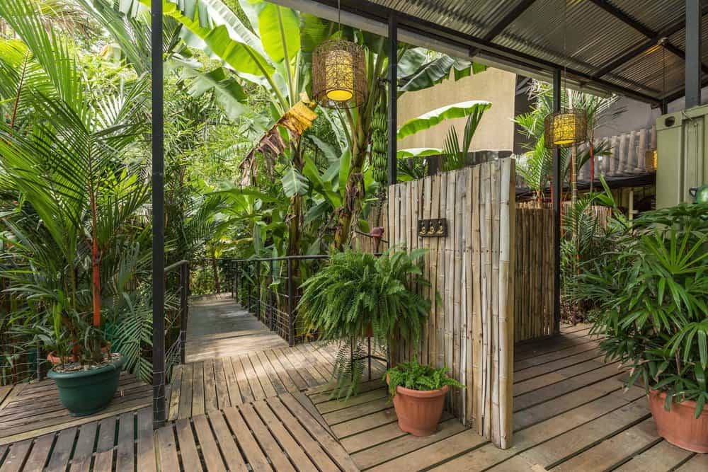 Danyasa Eco-Retreat