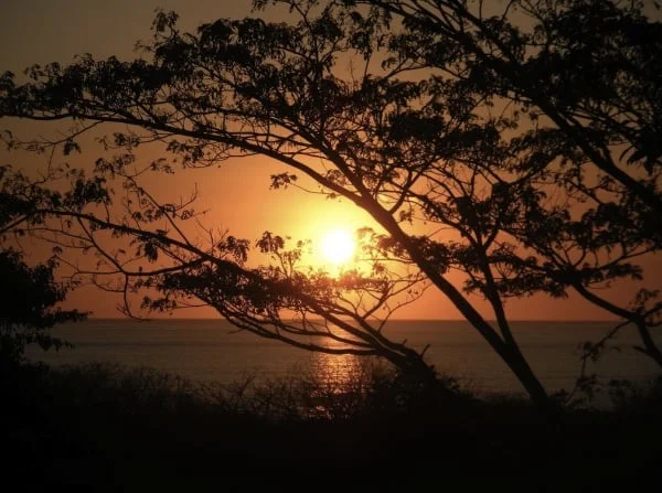 Honoring the Darkness, Welcoming the Light