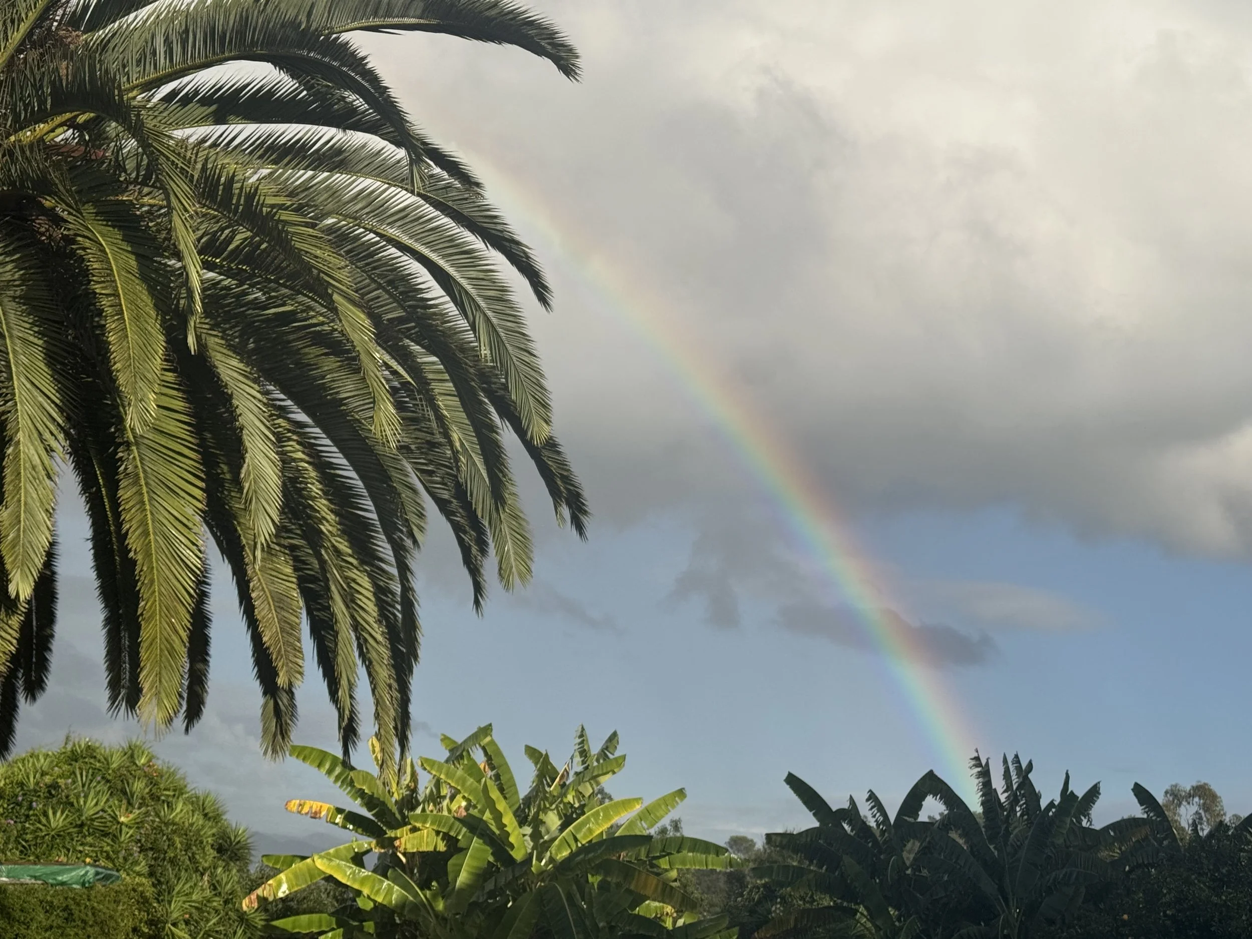 Holding It All: Embracing the Full Spectrum of Life