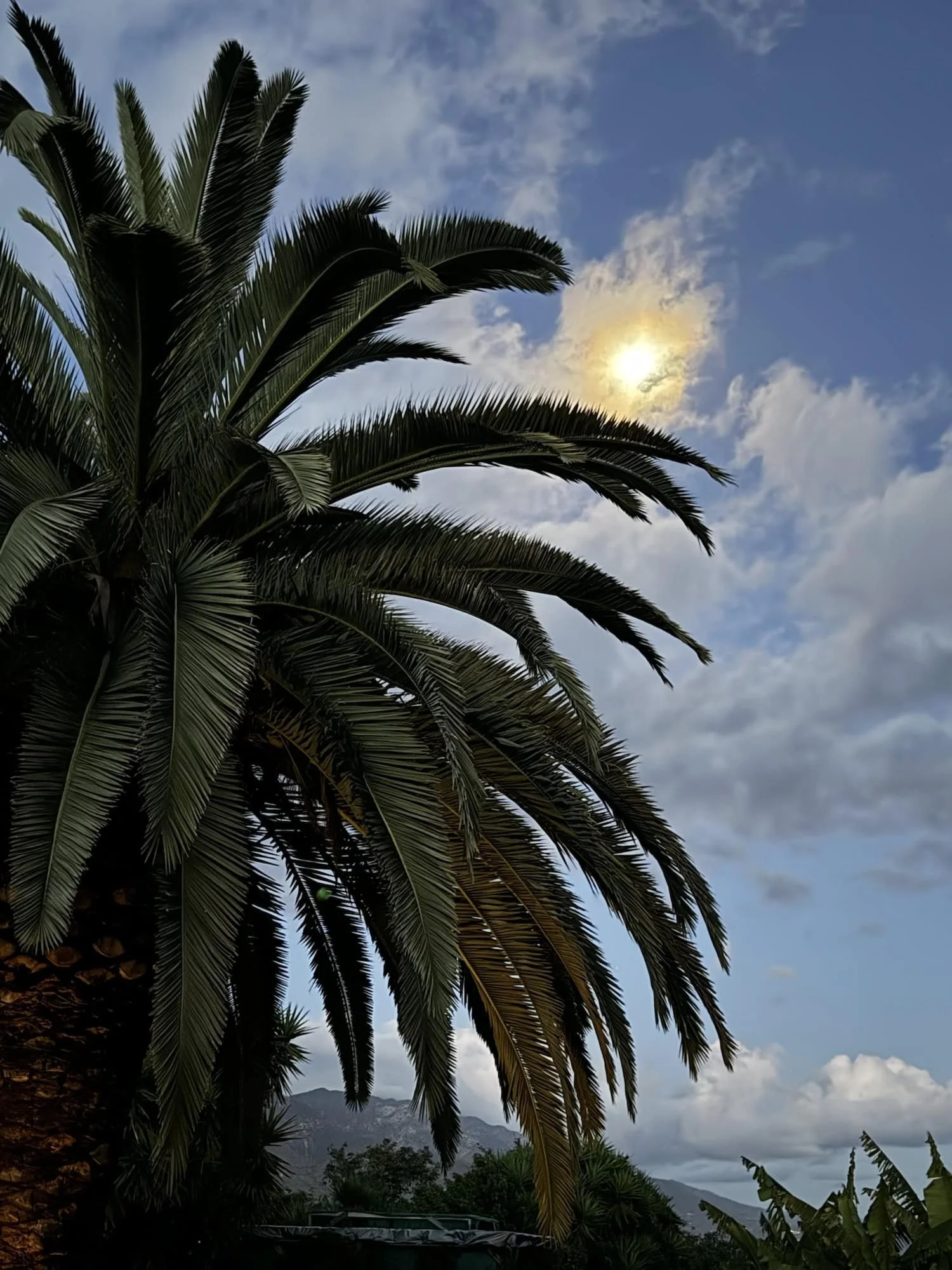 Santa Barbara sunsets.