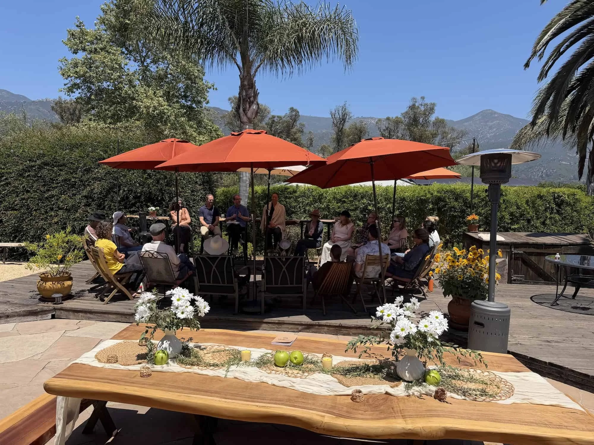 Meeting under umbrellas.jpeg