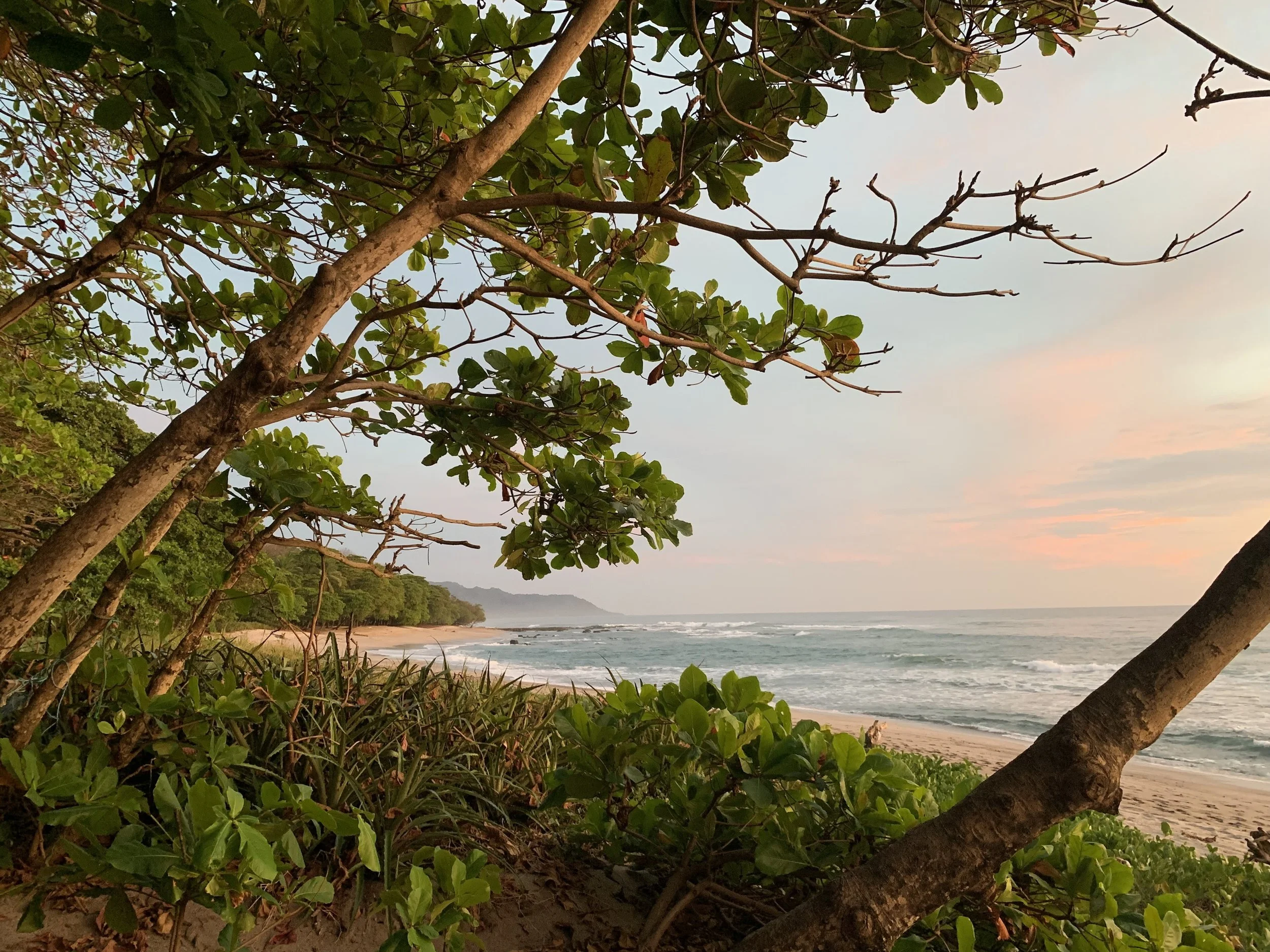 Santa Teresa Golden Hour.jpeg