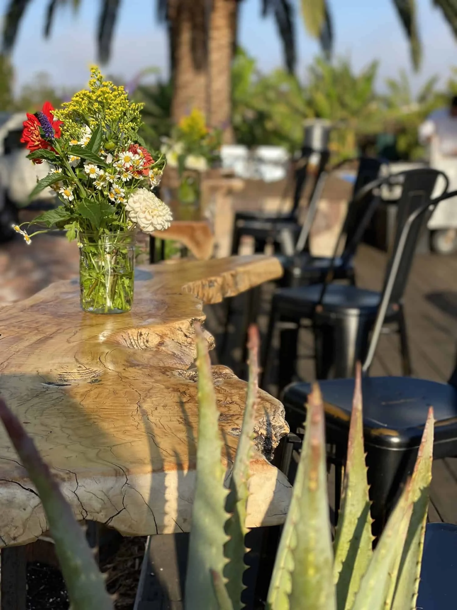 An outdoor gathering space at the Montecito retreat center featuring a long dining table set for a community meal under the trees