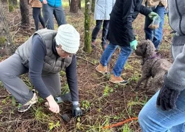 Truffle hunting.jpg