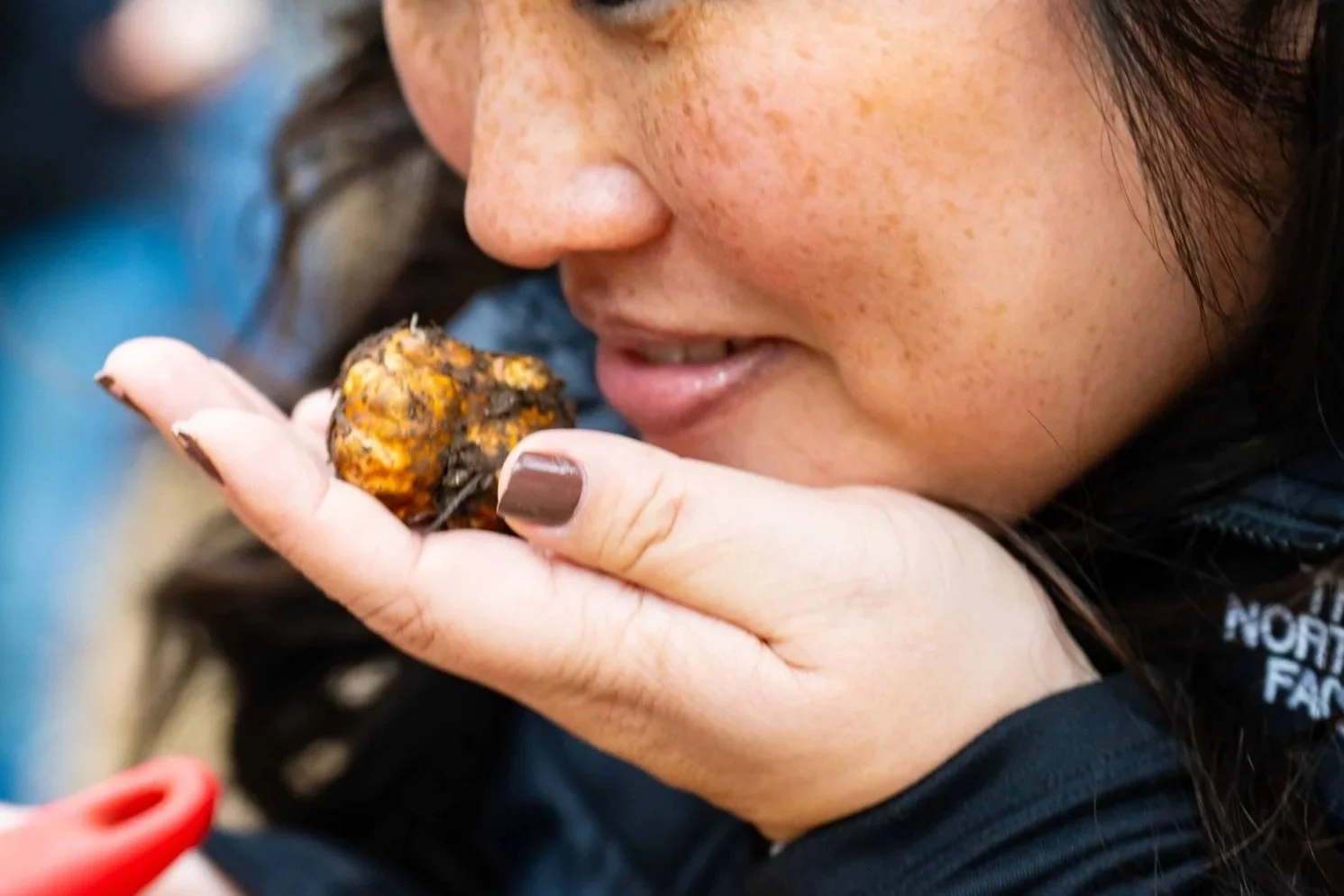 Buy Fresh Truffles at the PSU Portland Farmers Market 