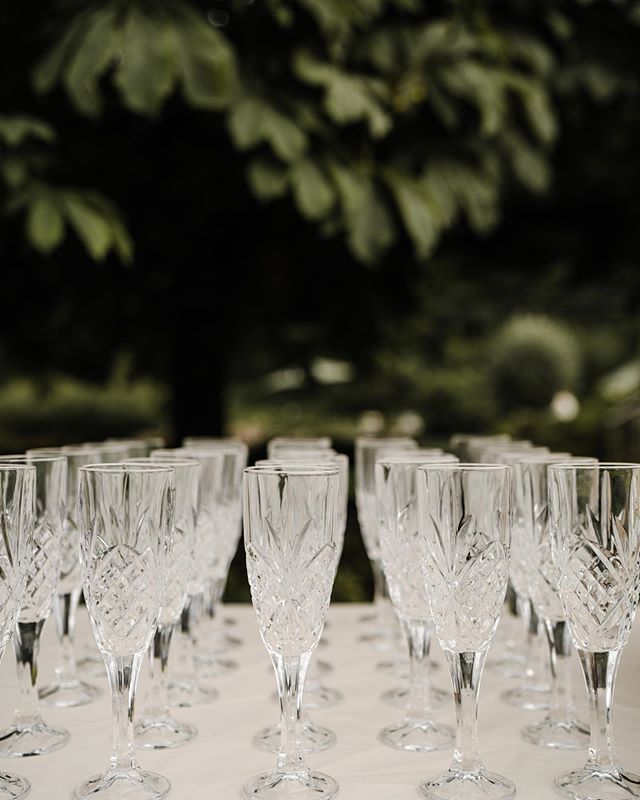 Like a seagull - drawn to all that sparkles ✨
Photo cred: @sasha_reiko_photography 
#weddinginspiration #cheers #festivalbride