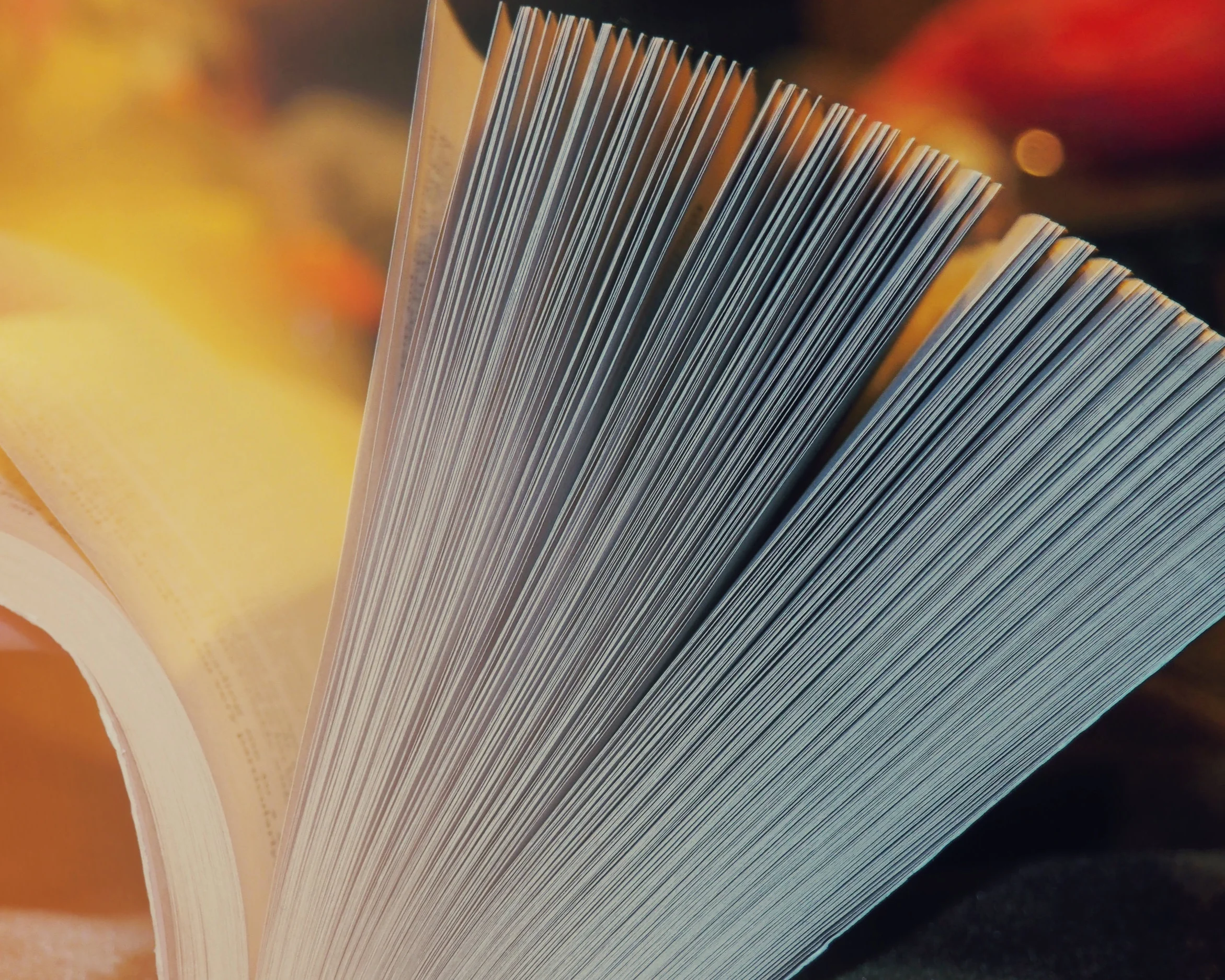 Beta Readers Wanted