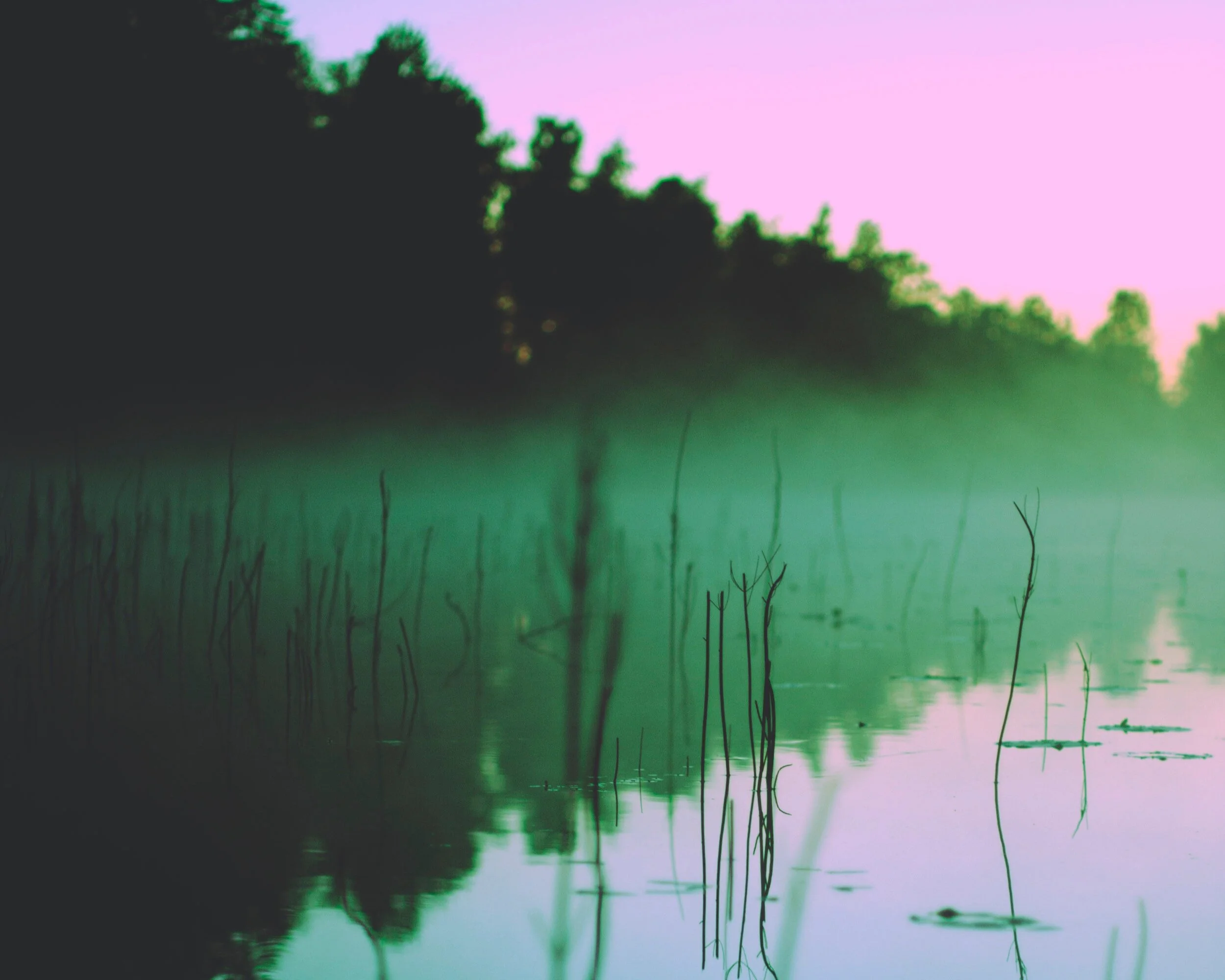 Hidden Lagoon