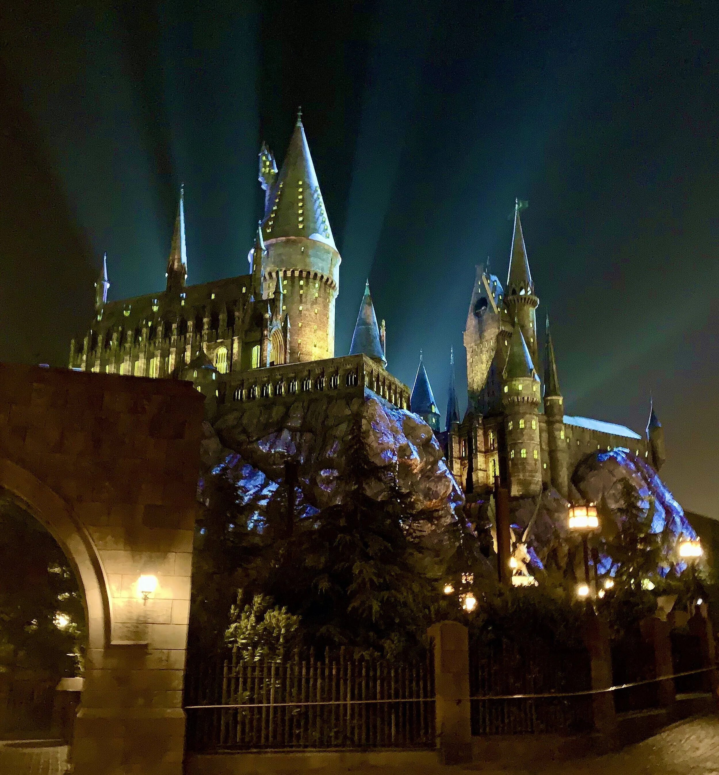 Princesses, Wizards, and Quarantine... Oh My!