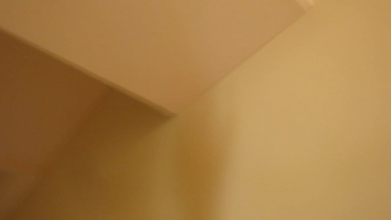 36898658_10105891093927512_2910106802811043840_n.jpg