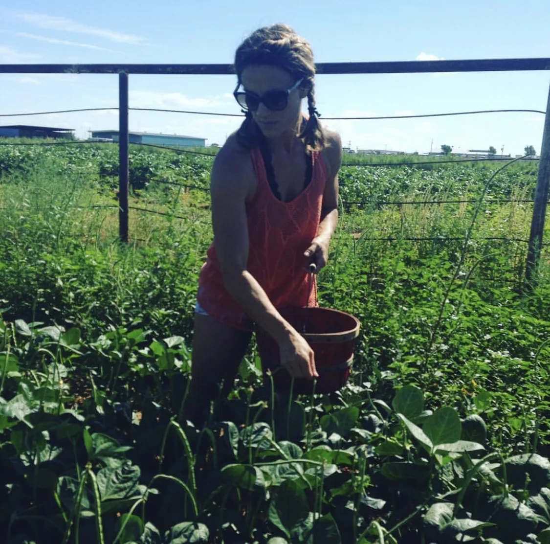 Planting a Garden: A Beginner’s Guide to Growing Your Own