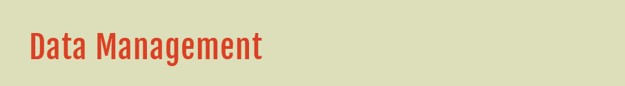 Data Management Orange.png